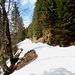 Schneestapfen - bei schönstem Wetter - ist angesagt