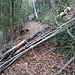 gelegentlich legten sich Hindernisse in den Abstiegsweg