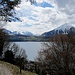 kurz vor Merligen:
ein Blick zum majestätischen Niesen ...
