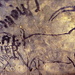 Stambecco graffito su una parete della grotta di Rouffignac. (photo La Goélette) 