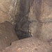 Leuchtmoos in der Höhle an der Königsnase<br /><br />Durch die hohe Luftfeuchtigkeit beschlägt die Linse der Kamera dort sehr schnell.