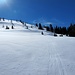 Nach der Waldpassage öffnen sich tolle Skihänge