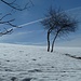 Neve al Pian Pulpito