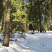 Das dürfte dann endgültig der letzte 1200er im Schwarzwald für mich sein...