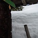 Was für ein Winter war das..... Auf der Kienberg-Diensthütte zeigt der Wegweiser zum Gipfl genau in eine meterhohe Wand aus Schnee.... toll...