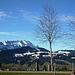 An der Strasse zum Hohen Hirschberg - Alpstein und Appenzell