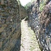 Alte mura sull'antica Via Regina