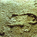 Grotta di Pech Merle: impronta di passi umani (foto Castelet)