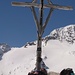 ....ma pure il Selvatico non scherza