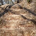 Tipologia di scalini sul sentiero: tipo 1 (Roccia)