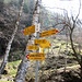 .....dove si va.....!!??
