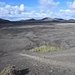 im Aufstieg zur Montaña Negra - Blick über die Vulkanebene zum Nationalpark Timanfaya