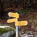 Tra Pozzo e Monte di Sopra il bivio del sentiero che sale dalla diga della Val d'Ambra