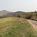 Unterwegs zwischen Stražiště und Velké Žernoseky - Wir passieren den "Gipfel" des Hügels Malá Vendula (239 m, rechts). Hinten sind Trešnovka (261 m, mittig) und Radobýl (399 m, links) zu sehen.