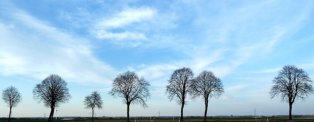 Halbe Sachen I