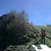 Noch 10 min zum Gipfel - vor [u alpstein] ligt noch das steilste Stück des Weges.