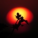 Wiederholungsfoto mit anderem Motiv: Taubnesselknospen bei Sonnenuntergang<br /><br />Foto di ripetizione con motivo diverso: Lamium maculatum al tramonto