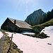 Alp bei Egg mit Hochflue im Hintergrund