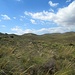 Typical inland vegetation at Cabo de Gata