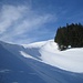 schöner Schneehang am Waldrand nahe der Kappeler Alpe (Kreuz)