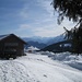 Kappeler Alpe mit schönem Zugspitzblick (Bildmitte)