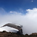 Auf dem Gipfel des Tschugga: Immer wieder reisst die Hochnebel-Wolkendecke für einige Sekunden auf