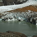 Il Glaciar Torre si tuffa nella Laguna Torre