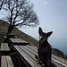 Suni,oggi reginetta al Lago di Garda sul monte Pizzoccolo!