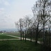 ...am Aussichtspunkt Bannholz ( 783m )