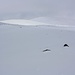 Endlich erkannten wir nach den langen Aufstieg mit unserem schweren Gepäck die Biwakstelle. Es ist der Schneehügel auf etwa 3150m oberhalb der Seenplatte.