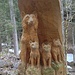Eines der unzähligen Holzkunstwerke welche den Wegrand vom Morgenholz in die Rossweidhöchi zieren