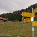 rifugio Alpe Domas