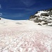 Glacier d`Orny 2700m