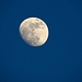 Mein Mond