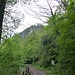 Monte Caslano visto dalla strada forestale.