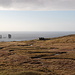 Bei Eiði - Ausblick aus etwa östlicher Richtung (Straße Eiði - Gjógv) zum Eiðiskollur. Im Vergleich zum Bild vom Vortag (siehe vorheriges Foto) ist der Schnee hier quasi vollständig verschwunden. Gut zu erkennen sind die beiden nördlich von Eiðiskollur vorgelagerten Felsen Risin (71 m, rechts) und Kellingin (69 m).