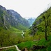 Frisches Grün im Val Bavona - von Vald aus. In der Bildecke unten rechts würde der Weg nach Puntid über Passo della Sandela wegführen