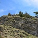 Die letzten Meter zum Gipfel des Koraspitz:<br />schöne Gras-Fels-Kletterei in gestuftem Gelände (aber steiler als es hier aussieht)
