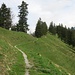 Nach dem Berghaus Sücka geht der Weg dem Grat entlang bis zum Plattenspitz.