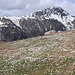Der Krokusteppich an der Alp Laret vor der Kulisse des Piz Cotschen