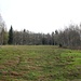 Feuchtwiese im Haberfeld