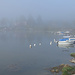 Nebelstimmung am Lac de Joux