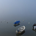 Nebelstimmung am Lac de Joux
