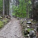 Der breite Aufstiegsweg zur Gruttenhütte