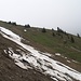 Traverse oberhalb der Fläscher Alp. Viel Schnee ist abgerutscht und hat den Wanderweg sehr fest beschädigt :-(