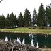 Künstlich angelegter Teich und Rastplatz [lake51644 Bacino Pian di Nar]
(wenn ichs richtig verstanden habe dient der Teich auch zum Auftanken von Löschflugzeugen gegen den Waldbrand)