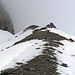 Im Aufstieg hat sich das Wetter mal kurz auf garstig umgestellt. Charmante Begleitung kraxelt bei den Felsen auf der Moräne des Anengletschers.