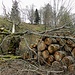Holz - "l'huile du Jura"