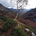 Alpe della Colma - letzter Blick ins Val Grande über herbstrote Sorbus acuparia