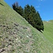 Südgrat Chli Horn, Beginn Gipfelkuppe.